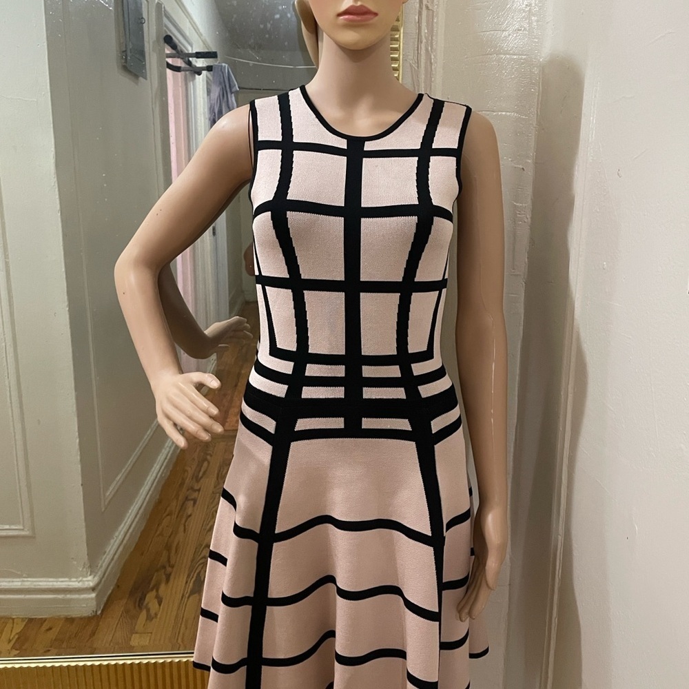 Torn by Ronny Kobo Black and Cream Mini Dress - Picture 10 of 12